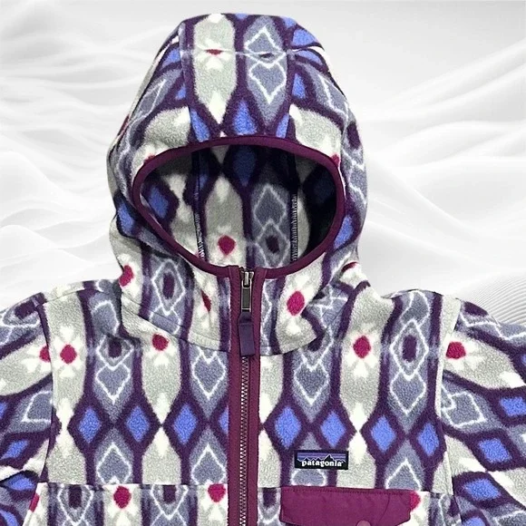 Patagonia Synchilla Lightweight Full zip Snap-T Hooded Jacket MED Pine Patch - Picture 2 of 8